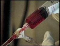 Close up of a syringe containing red liquid.